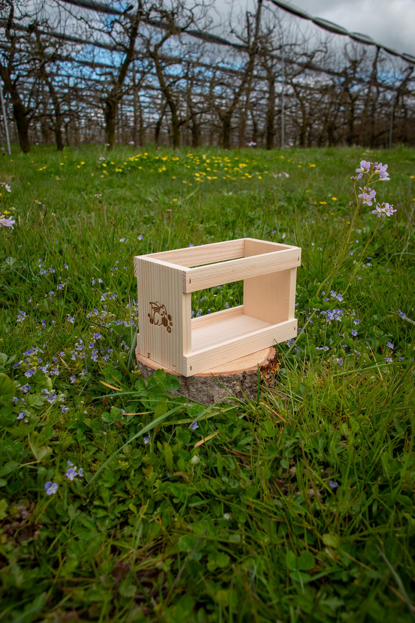 Geschenkbox 2x500g